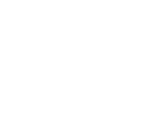 DESCON Group